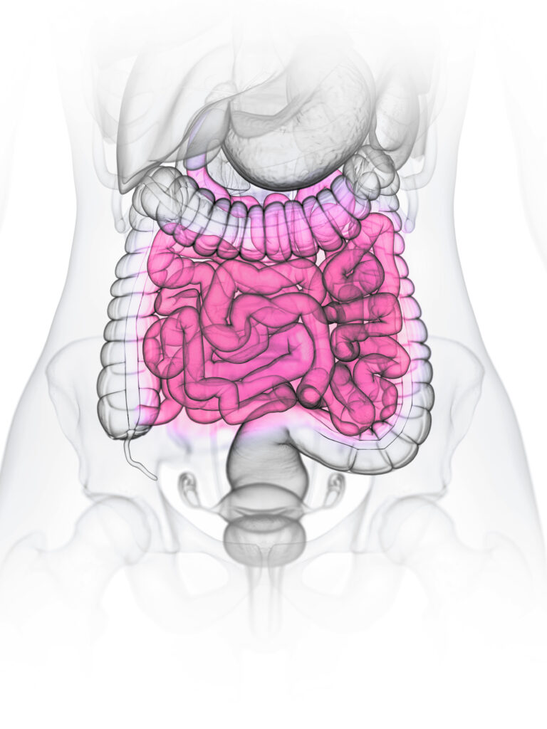La maladie cœliaque