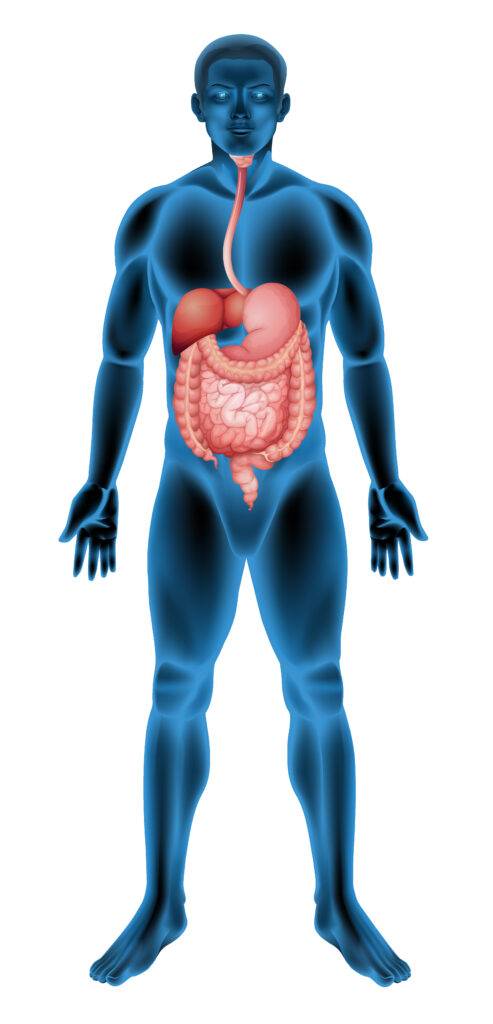 Le dépistage du cancer colorectal