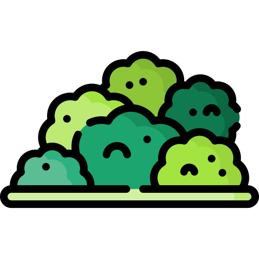 la-maladie-de-lyme-eviter-buissons