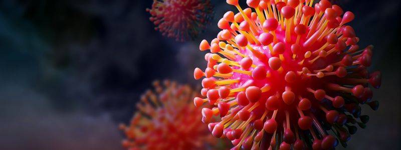 Microbes, virus, bactérie, champignons : quelle différence ?