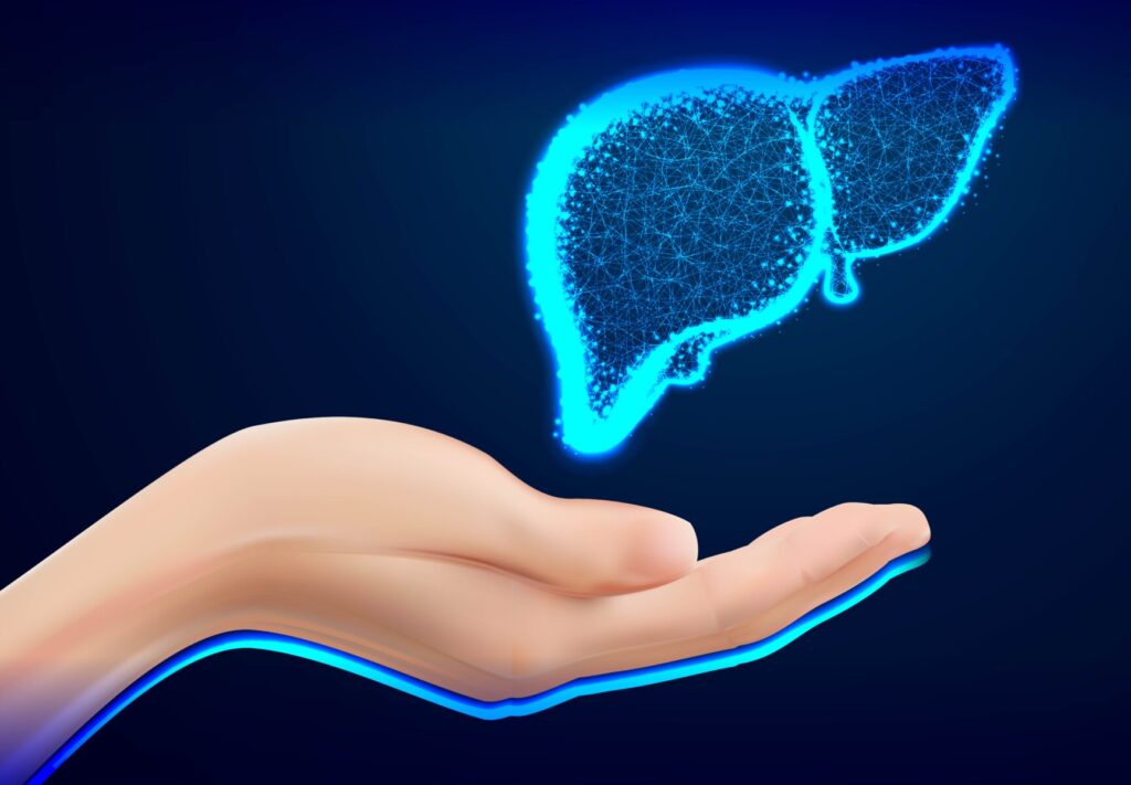 Le score de fibrose hépatique FIB-4 : un outil utile dans le dépistage des maladies chroniques du foie