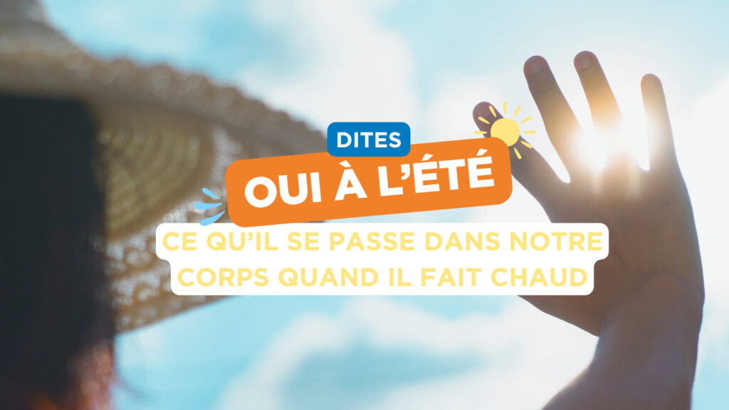 Ce qu&rsquo;il se passe dans notre corps quand il fait chaud 🥵